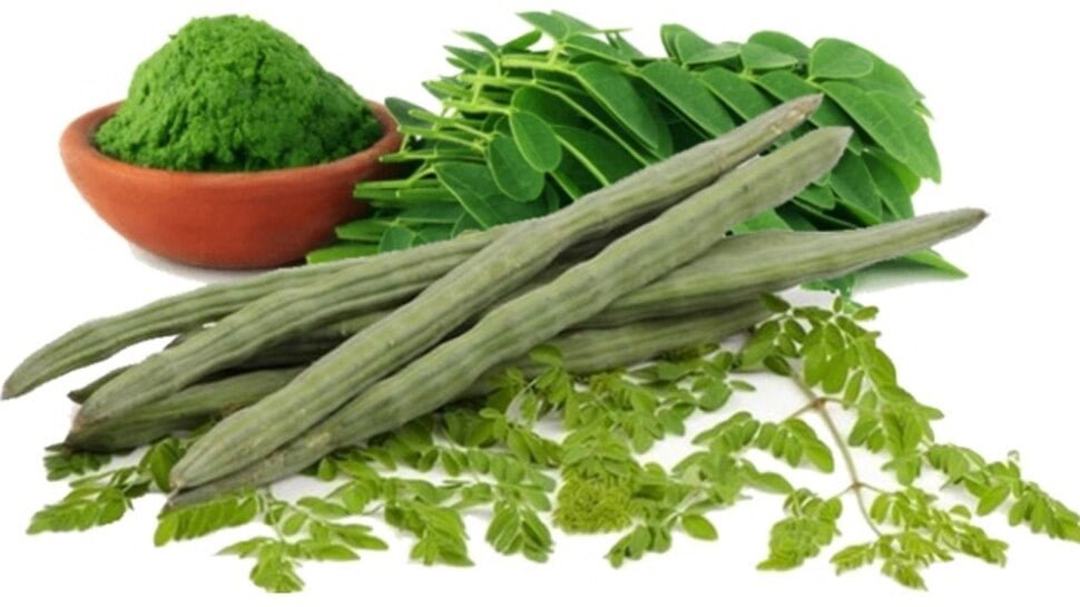 Moringa - मोरिंगा
